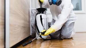 Best Termite Inspection and Treatment  in Oak Grove, AL