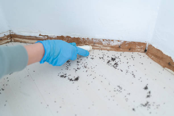 Best Real Estate Pest Inspections  in Oak Grove, AL